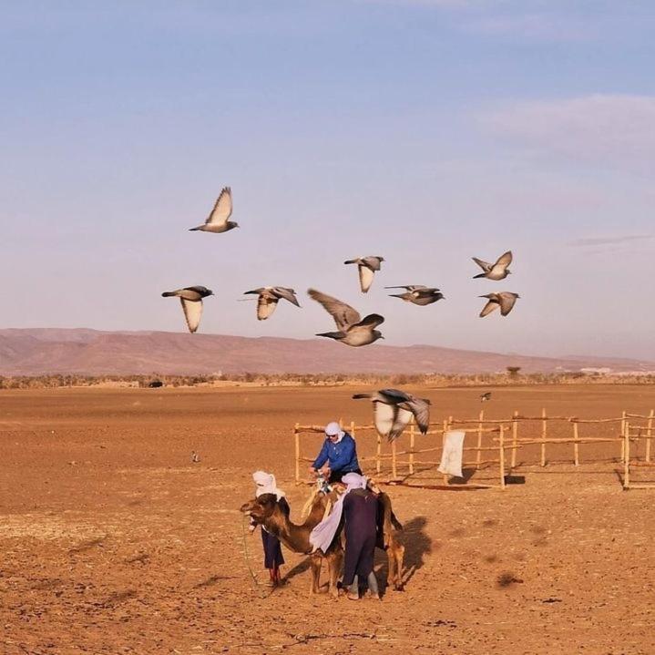 Hotel Bivouac Zagora Extérieur photo