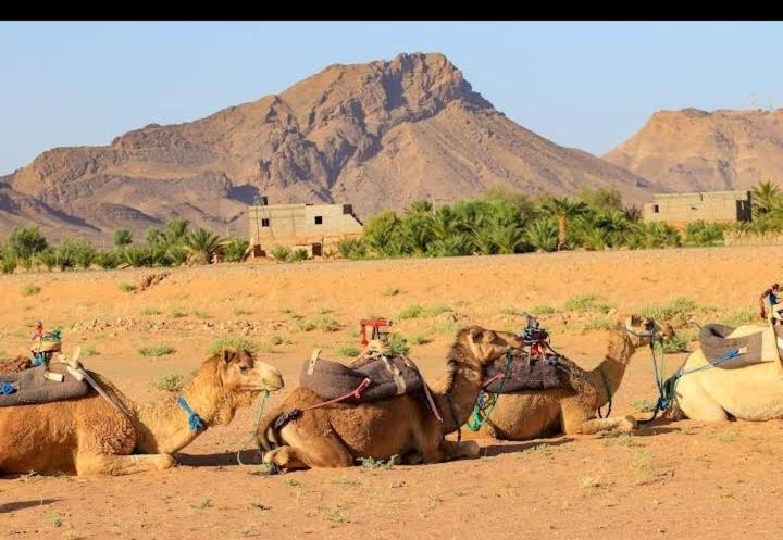 Hotel Bivouac Zagora Extérieur photo