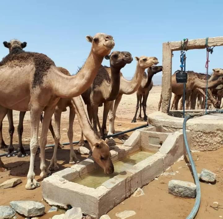 Hotel Bivouac Zagora Extérieur photo